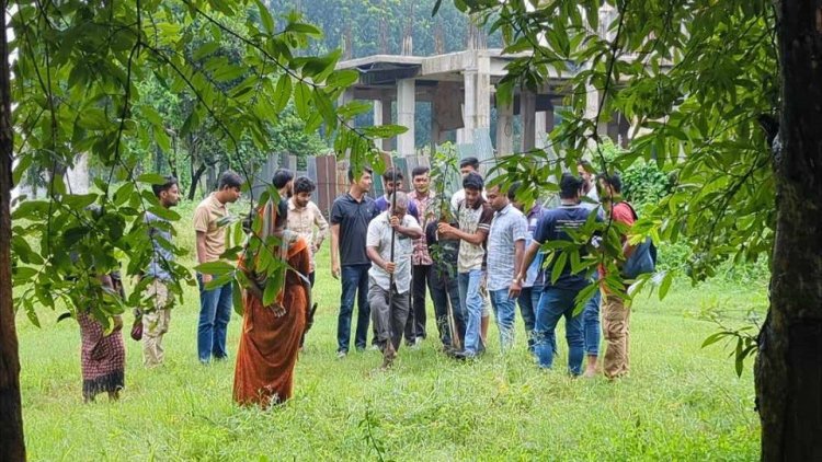 ইবি লেকে তৈরি হবে ছাত্রদলের ফল ও ফুলের বাগান