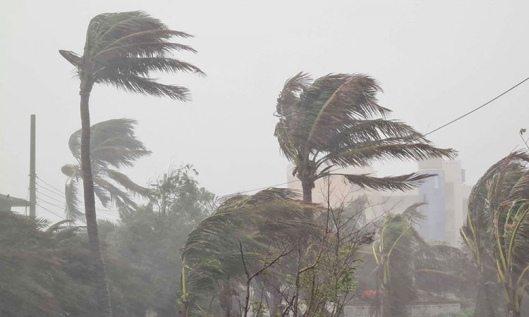 সন্ধ্যার মধ্যে ঢাকাসহ ১৫ জেলায় ঝড়-বৃষ্টির আভাস