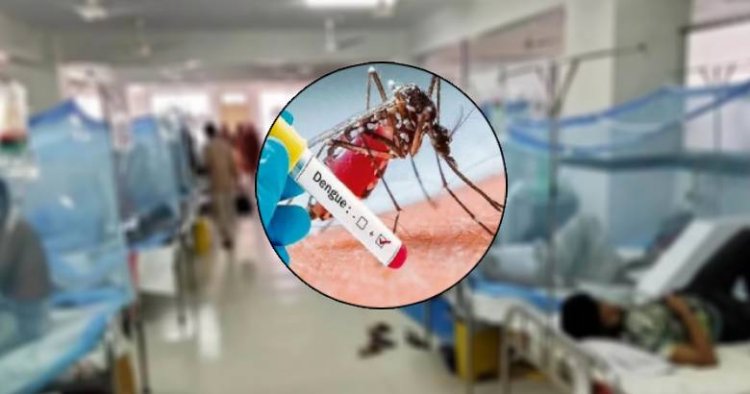 ডেঙ্গুতে আরও একজনের মৃত্যু, হাসপাতালে ভর্তি ৩৯৪ জন