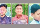 উপার্জনক্ষমদের হারিয়ে হতাশায় দেবিদ্বারের তিন শহীদ পরিবার