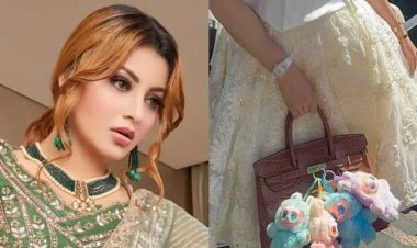 উর্বশীর লাবুবু পুতুলে সাজানো দামি ব্যাগ চুরি