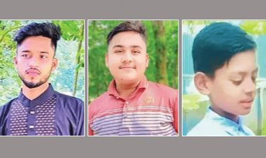 উপার্জনক্ষমদের হারিয়ে হতাশায় দেবিদ্বারের তিন শহীদ পরিবার