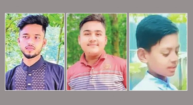 উপার্জনক্ষমদের হারিয়ে হতাশায় দেবিদ্বারের তিন শহীদ পরিবার